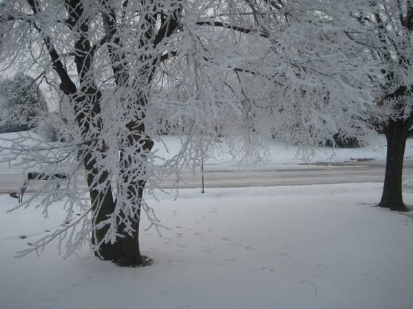 winterday.jpg