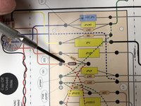 Tramp color schematic.jpg