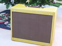 Tweed Deluxe 19.JPG