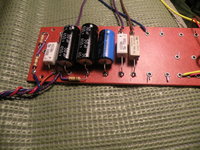 TR20.JPG