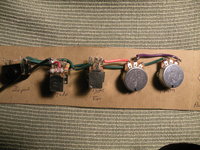 TR29.JPG